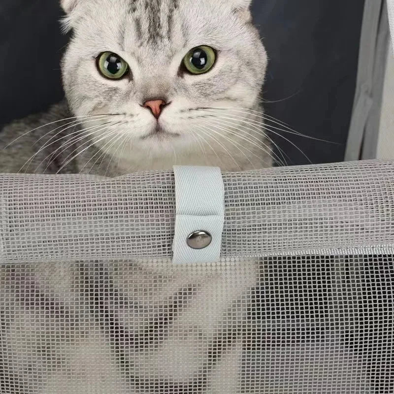 Sac à dos de transport pour chat – Modèle MatouBack