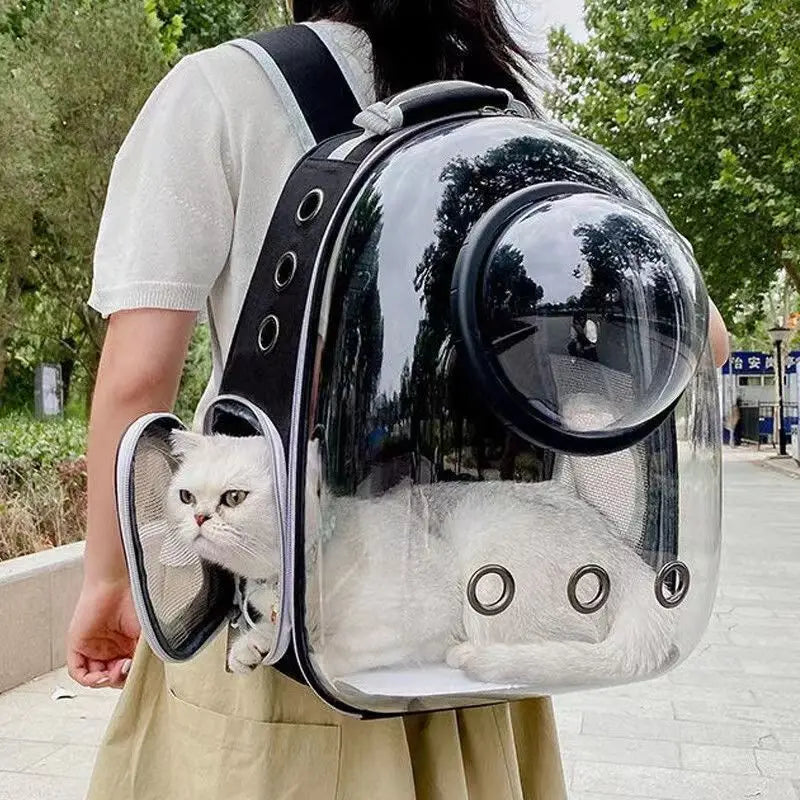 Sac à dos capsule transparent pour chat – Modèle MatouCapsule