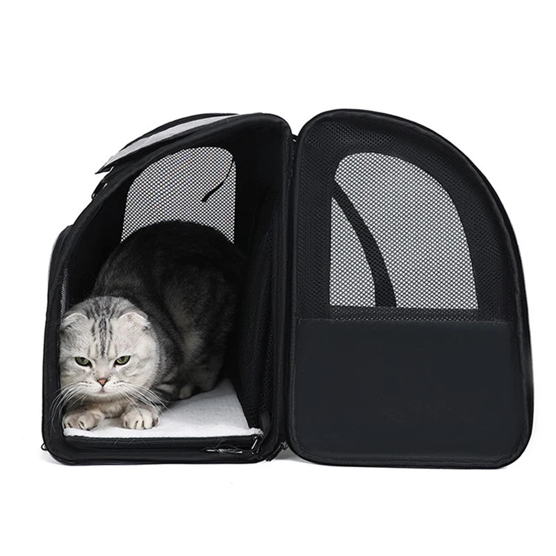 Sac à dos de transport extensible pour chat – Modèle MatouBack Extend