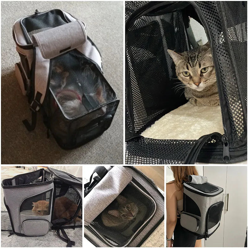 Sac à dos de transport extensible pour chat – Modèle MatouPack Expand
